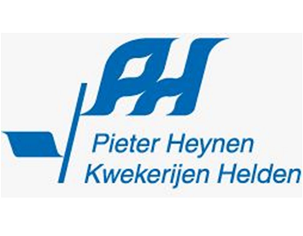 Logo Pieter Heynen